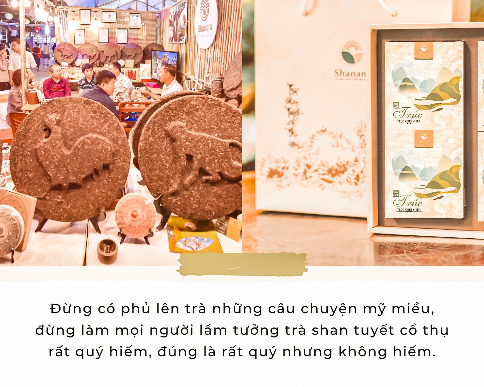 Cốt cách trà ảnh 12