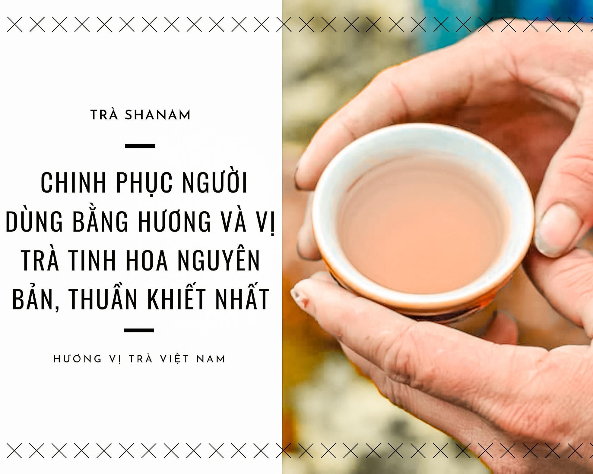 Cốt cách trà ảnh 11