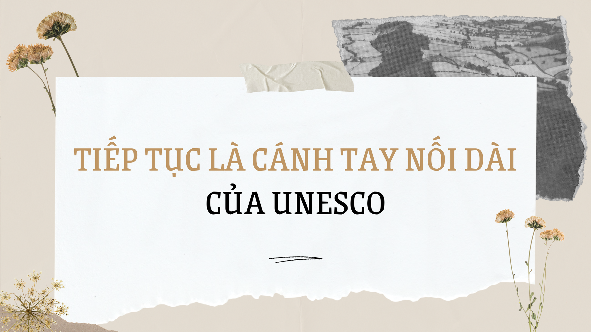Liên hiệp các Hội UNESCO Việt Nam: Chủ động thích ứng, hoạt động ổn định trong tình hình mới ảnh 5