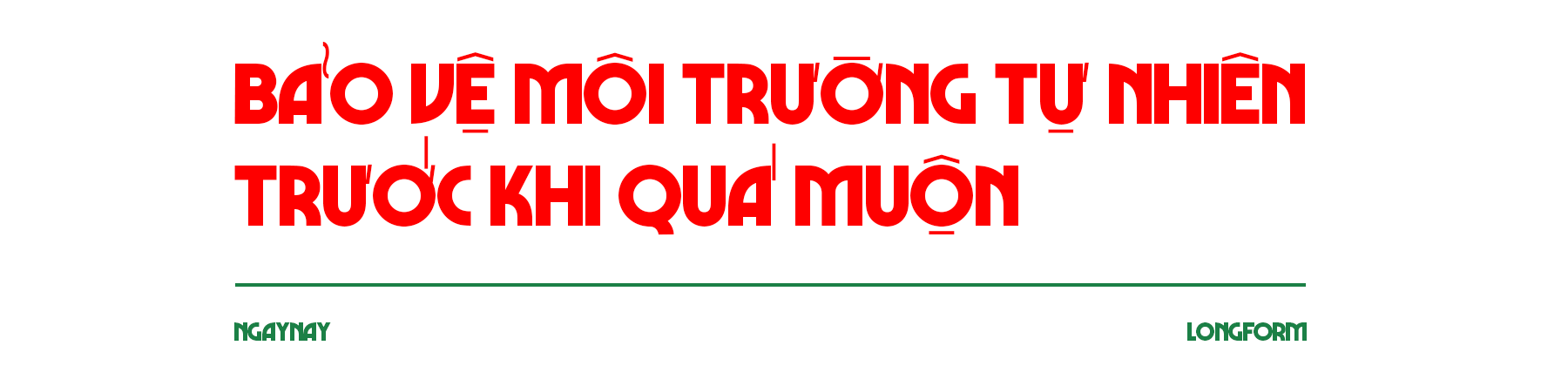 Mặt trái của du lịch là sự biến mất của động vật hoang dã ảnh 4