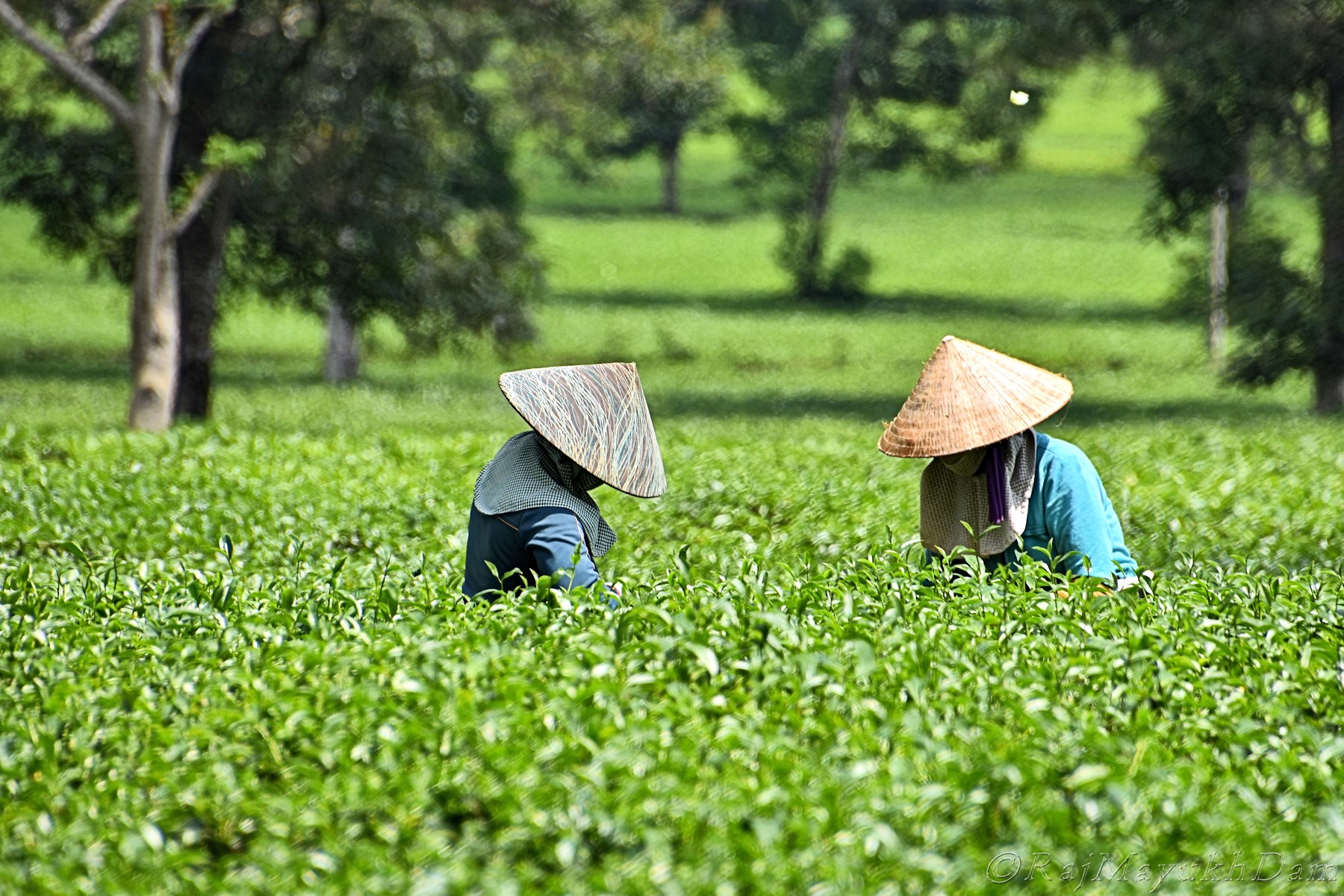 Yêu thương con người mới hiểu được sự độc đáo của các nền văn hóa ảnh 4