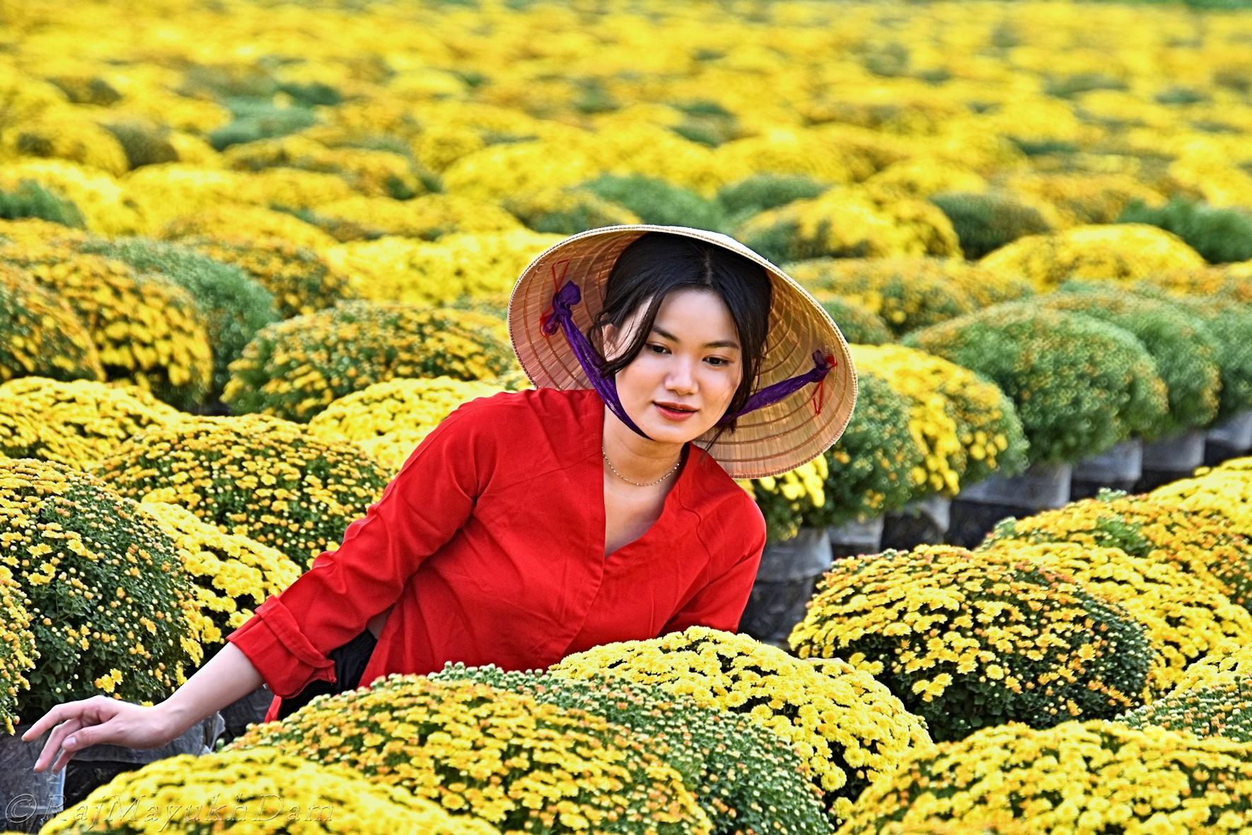 Yêu thương con người mới hiểu được sự độc đáo của các nền văn hóa ảnh 8