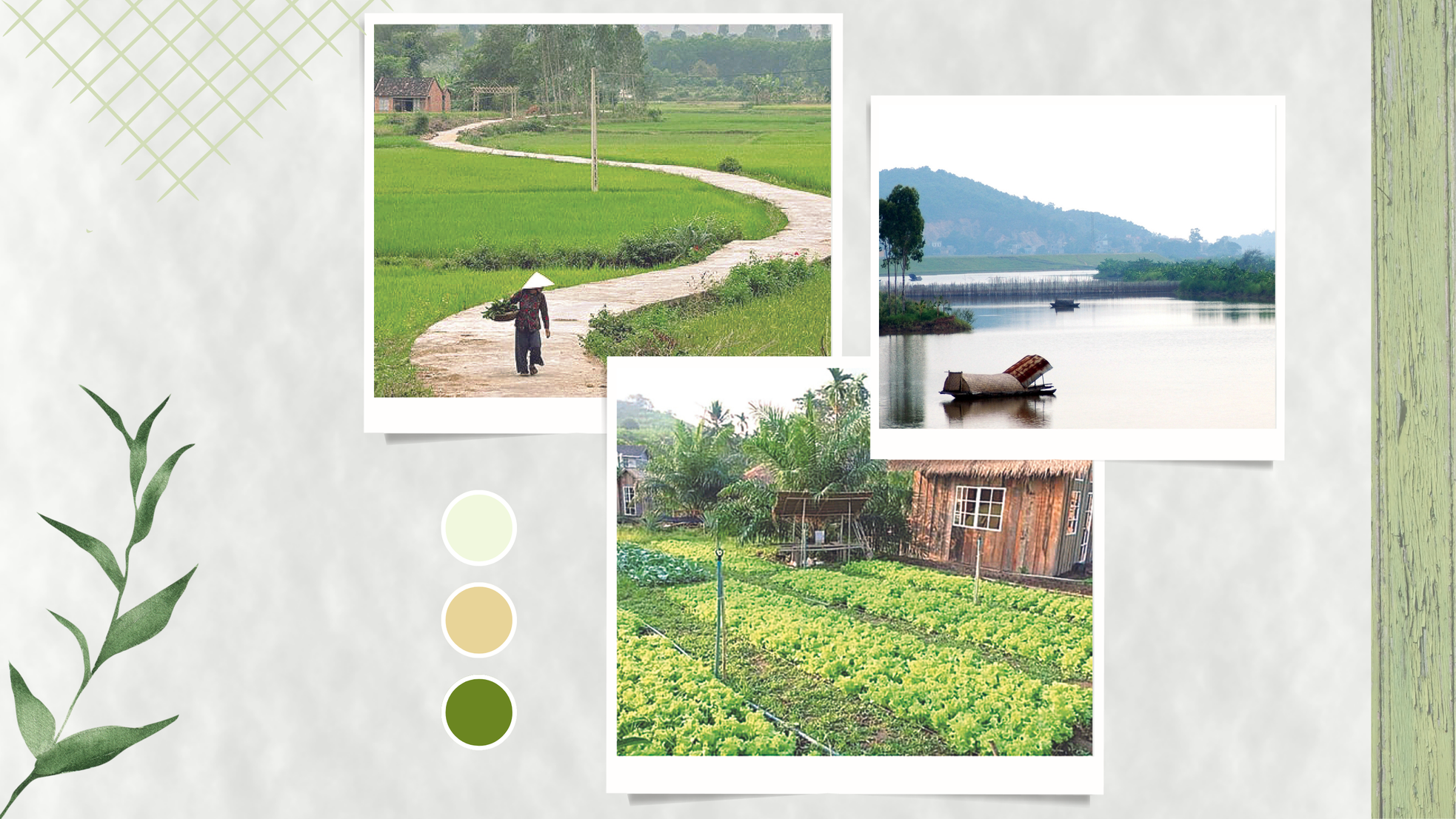 Khi chiều ngả tím ảnh 2