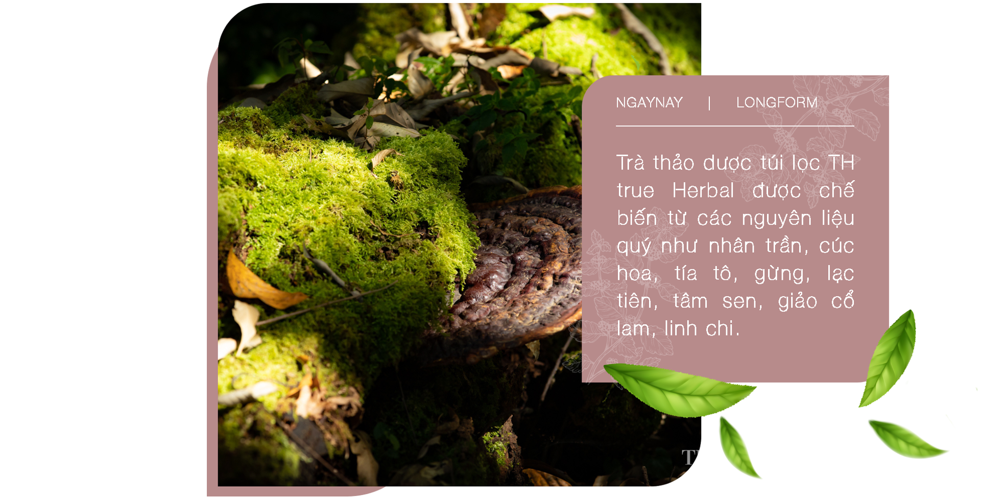 Câu chuyện về người nữ anh hùng lao động trăn trở tìm quốc kế dân sinh ảnh 2