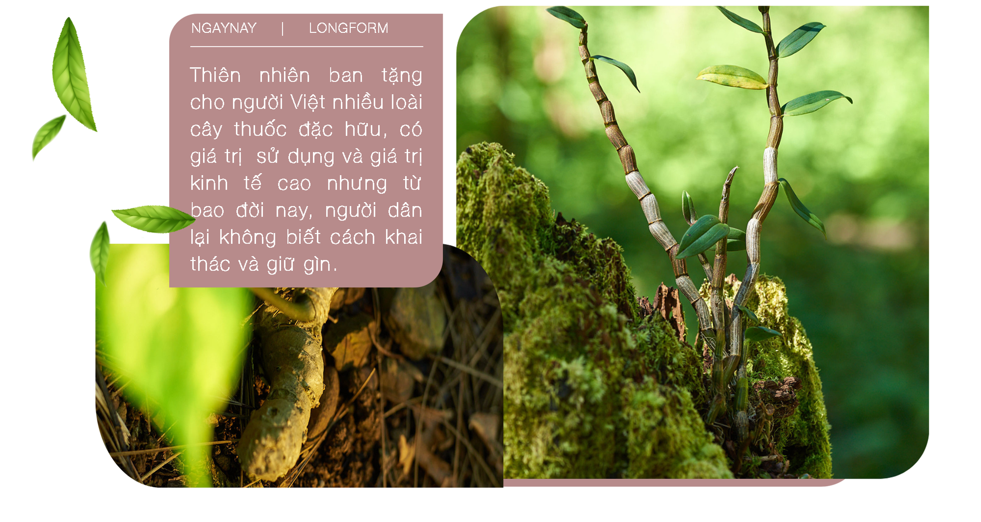 Câu chuyện về người nữ anh hùng lao động trăn trở tìm quốc kế dân sinh ảnh 6