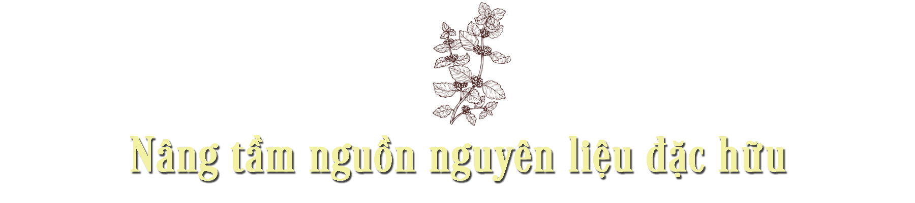 Câu chuyện về người nữ anh hùng lao động trăn trở tìm quốc kế dân sinh ảnh 10