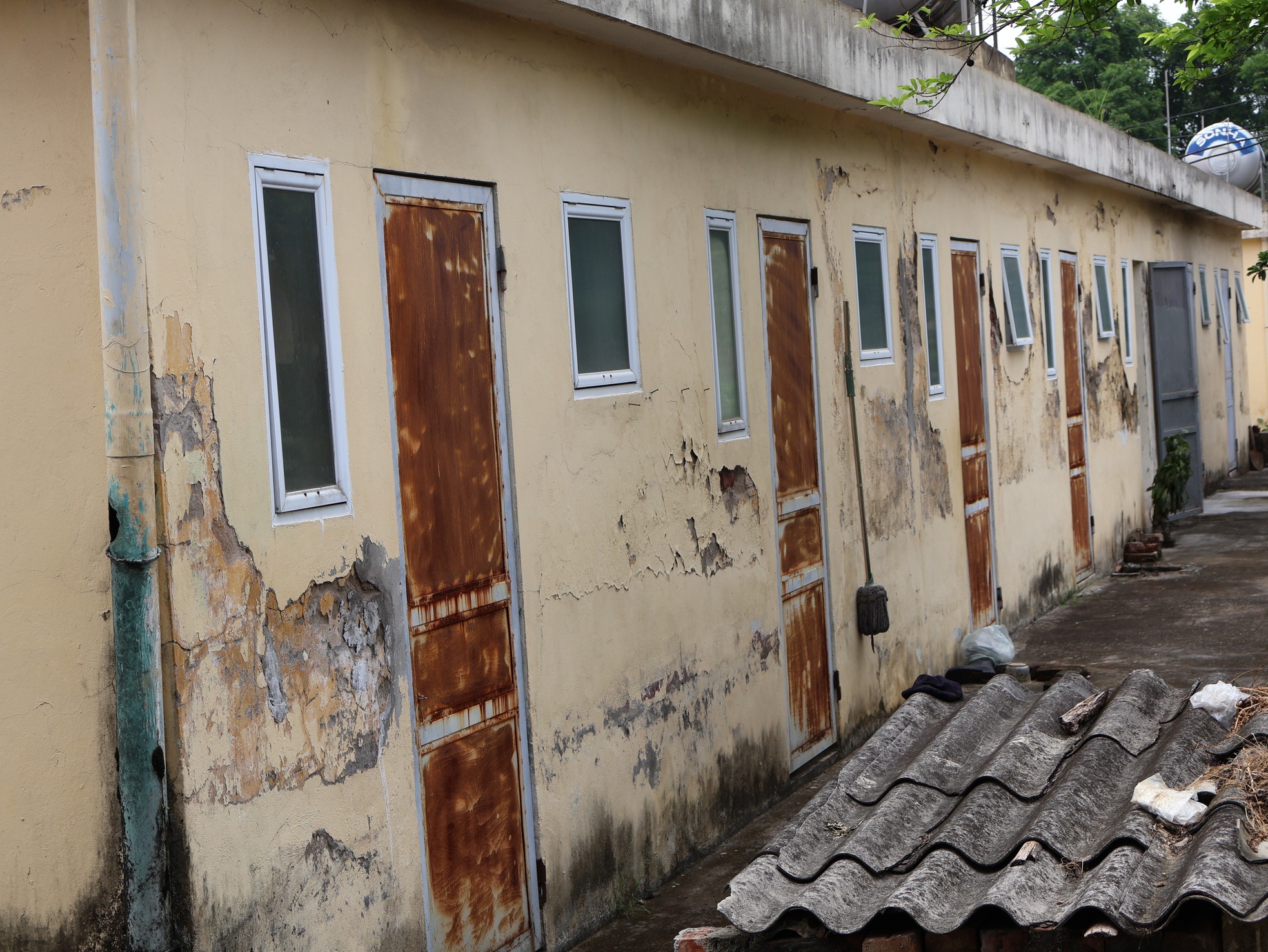 Chuyện tình ở trại phong: Bản tình ca viết bằng nghị lực ảnh 1