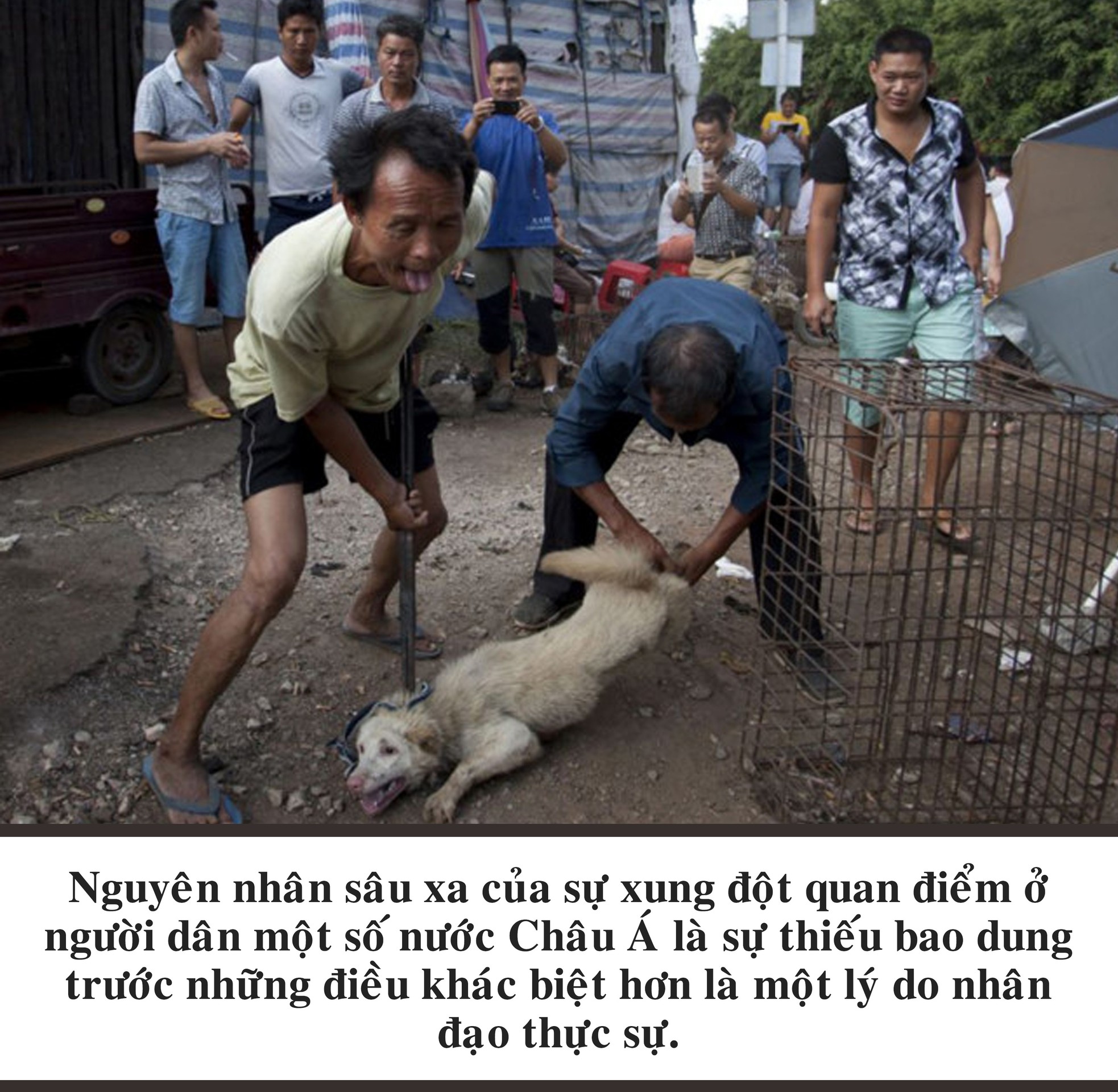 Cuộc xung đột thịt chó ảnh 7