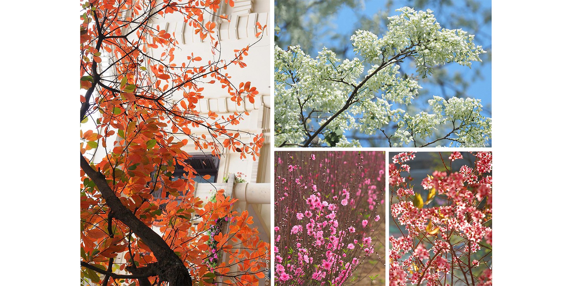 Người đuổi theo ánh sáng để bắt những khoảnh khắc đẹp nhất Hà Nội ảnh 10