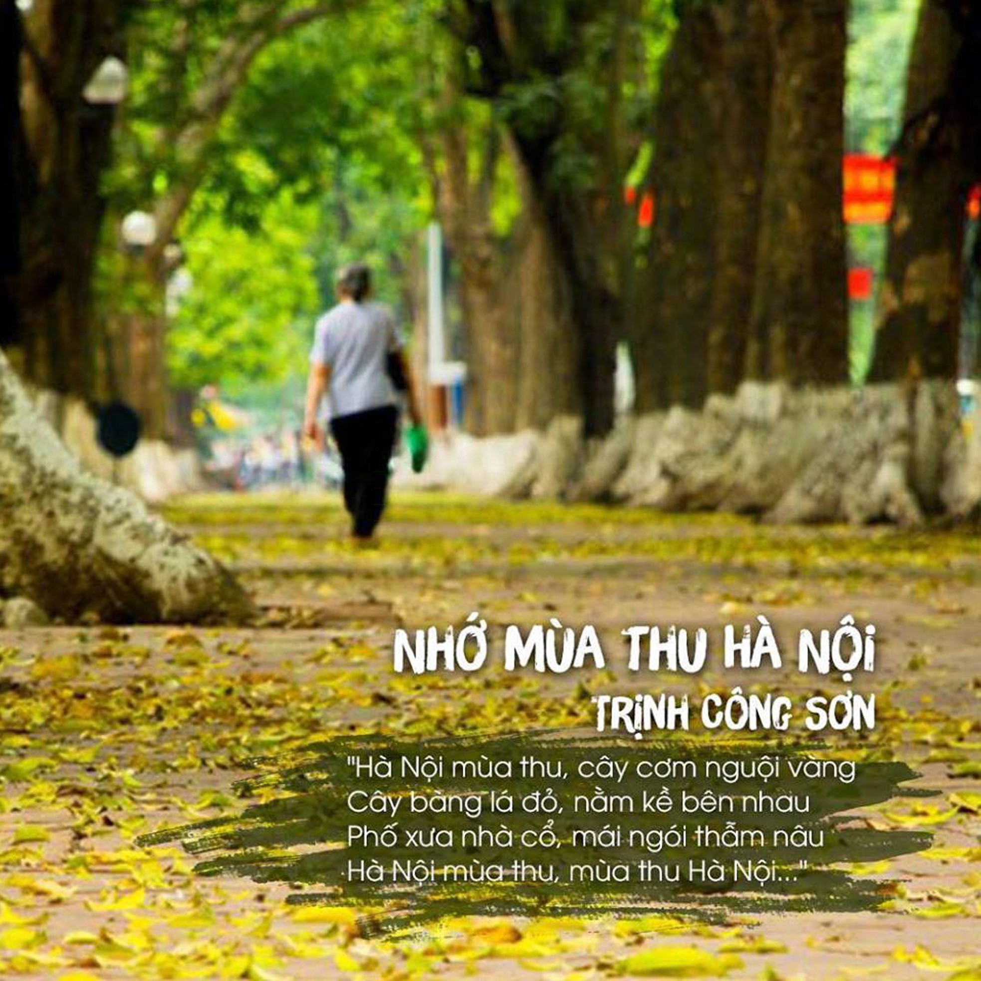 Người đuổi theo ánh sáng để bắt những khoảnh khắc đẹp nhất Hà Nội ảnh 4