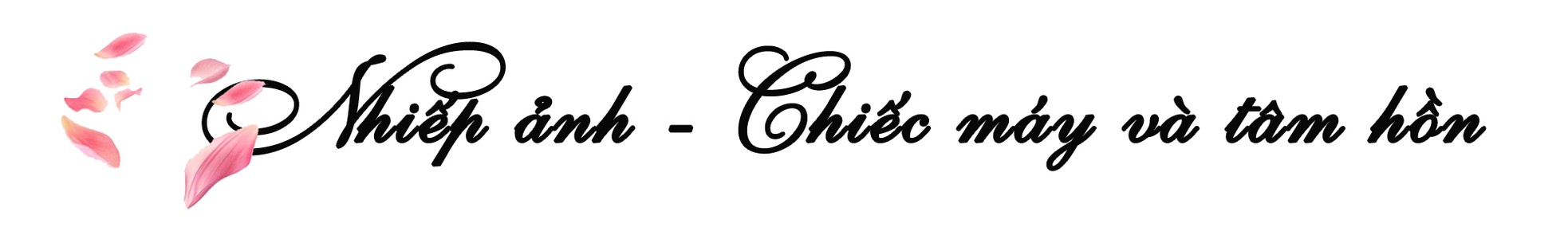 Người đuổi theo ánh sáng để bắt những khoảnh khắc đẹp nhất Hà Nội ảnh 1