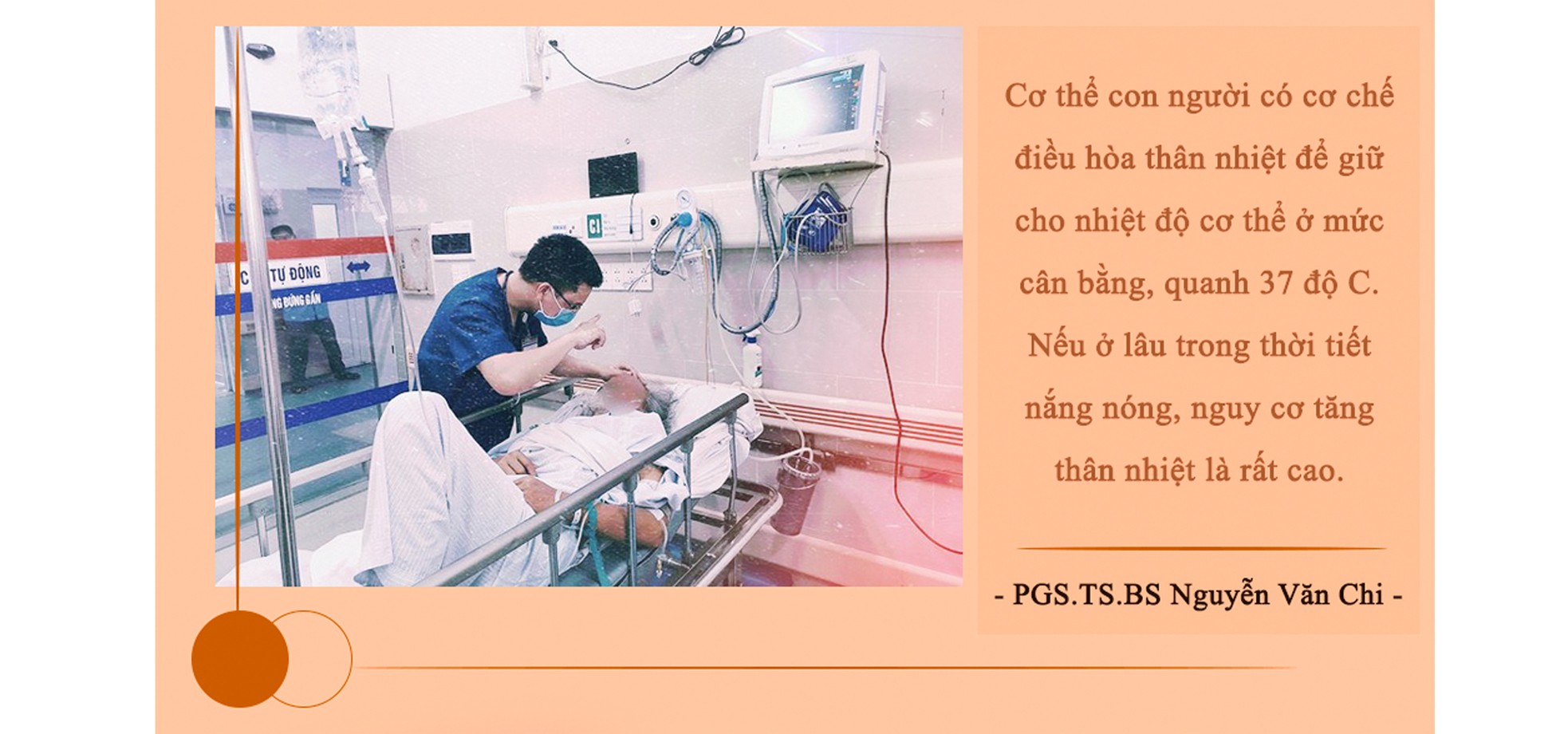 Sống sót qua mùa hè nóng như thiêu như đốt ảnh 2