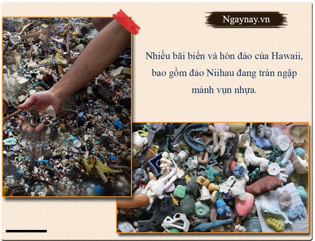 Lên núi, xuống biển đều đụng... rác ảnh 4