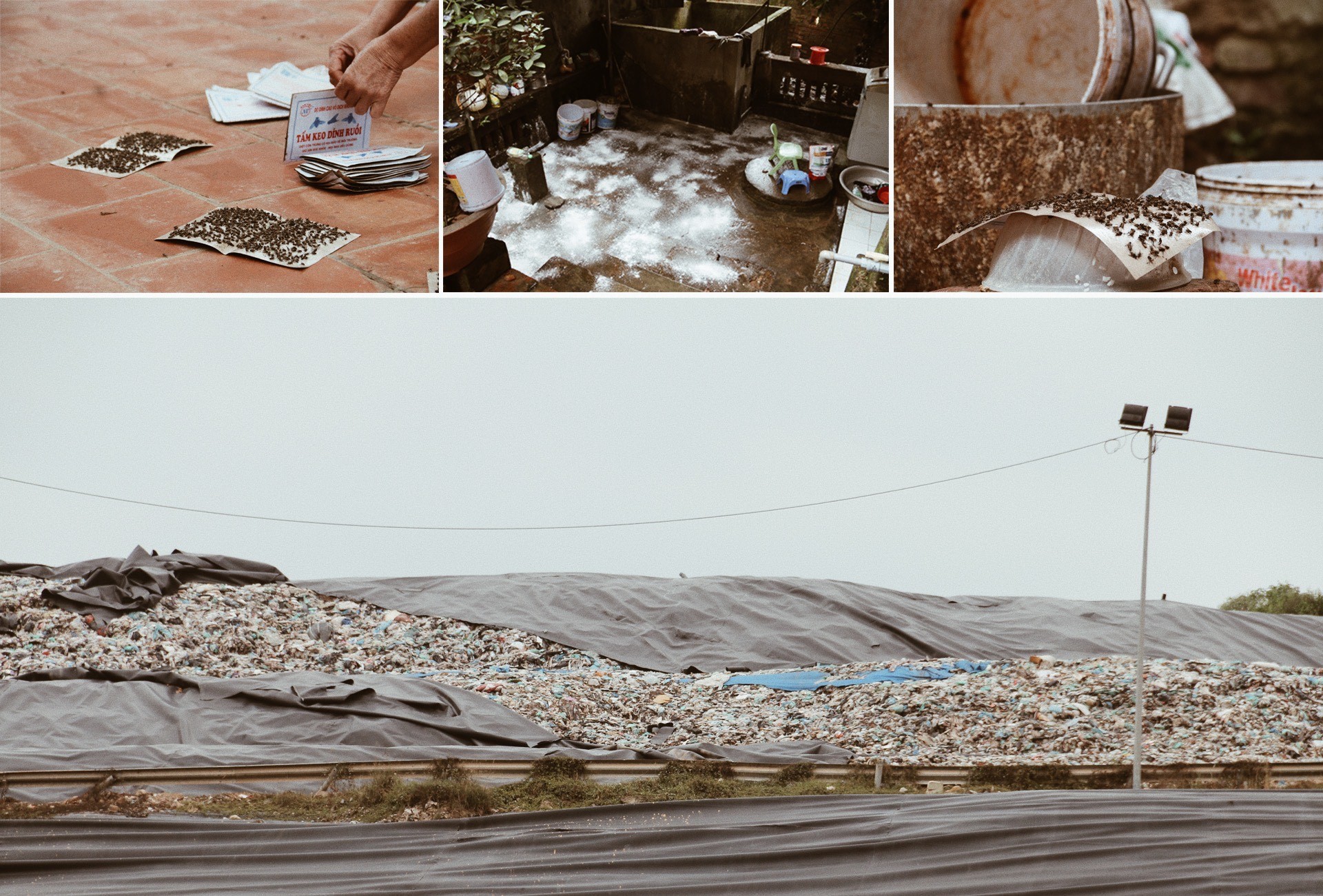 Nhìn lại cuộc khủng hoảng rác của Hà Nội ảnh 6