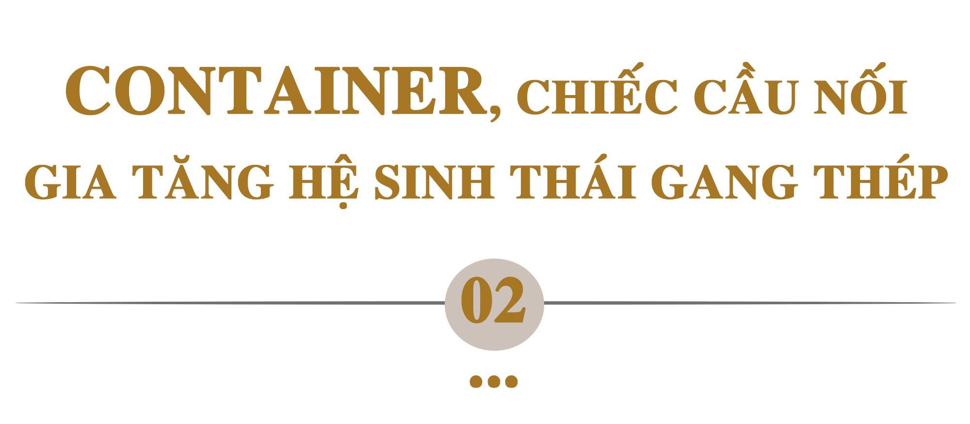 Hòa Phát, chiếc đũa thần thép và mảnh ghép chăn nuôi ảnh 4