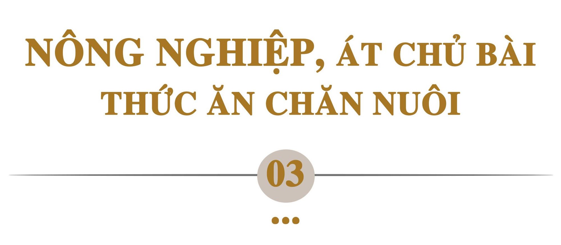 Hòa Phát, chiếc đũa thần thép và mảnh ghép chăn nuôi ảnh 7