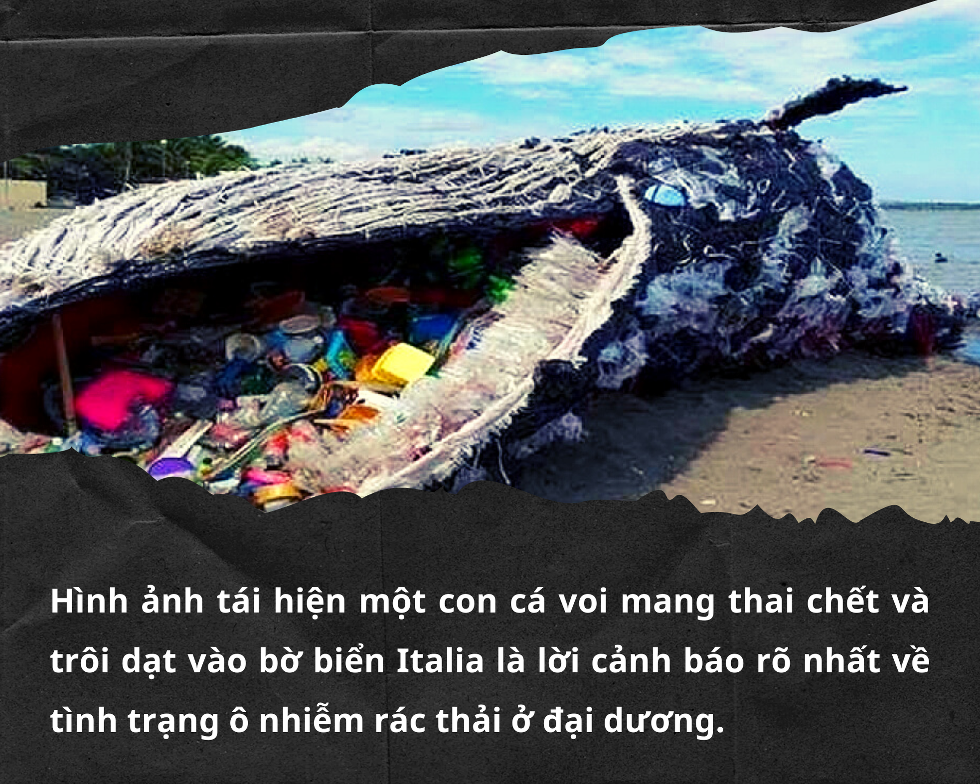 Đáy biển nổi sóng vì rác nhựa - Bài 1: Tương lai dệt bằng… nilon?! ảnh 8