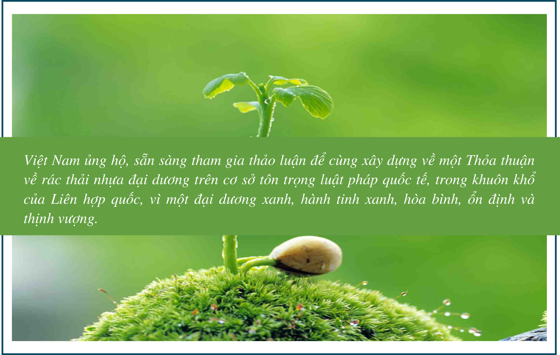 Đáy biển nổi sóng vì rác nhựa - Bài 3: Trả lại màu xanh cho biển ảnh 8