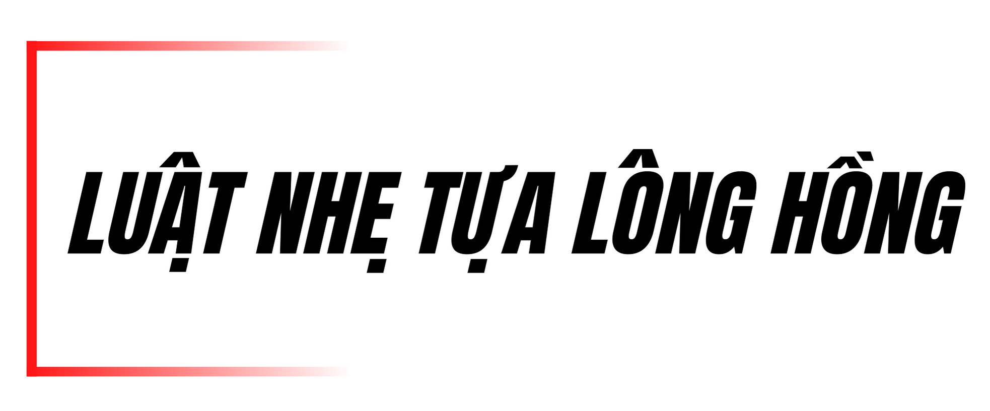 Đáy biển nổi sóng vì rác nhựa - Bài 2: Phong trào cứu biển kiểu… lướt sóng ảnh 5