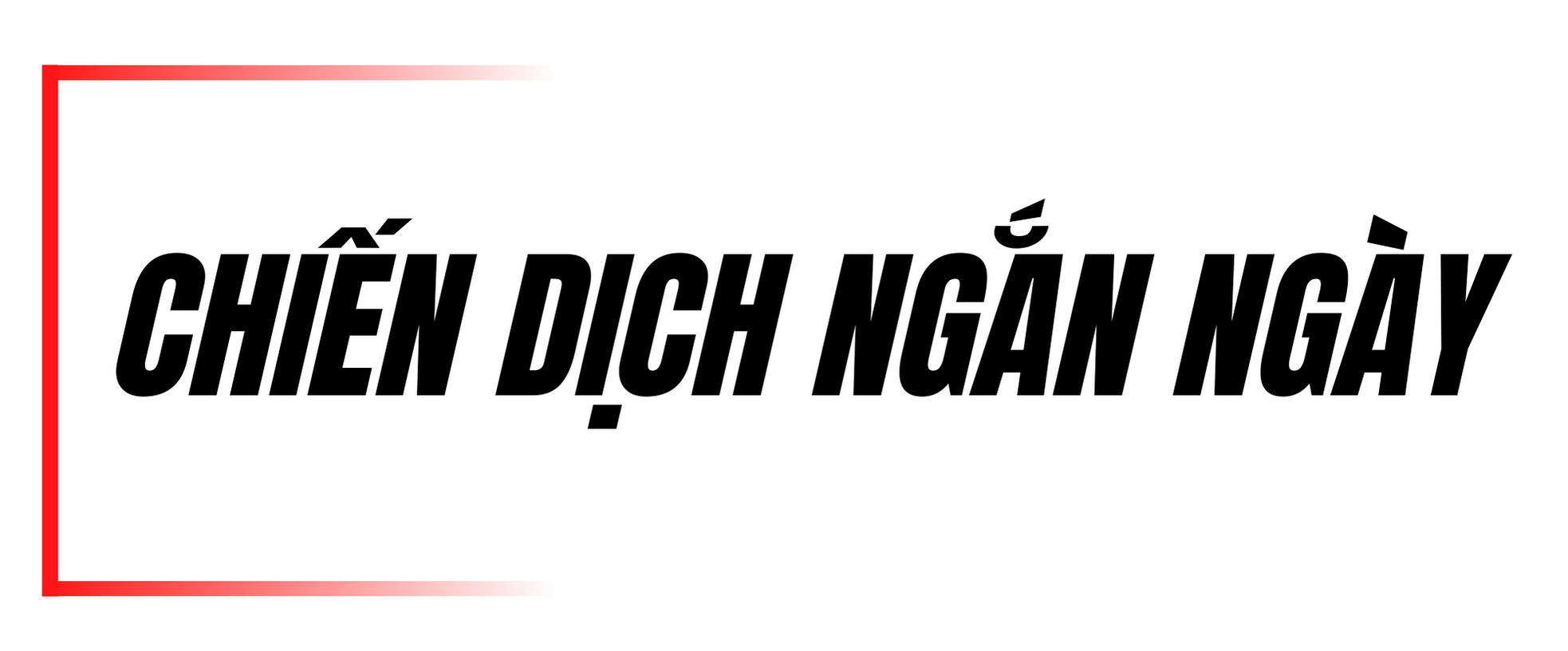 Đáy biển nổi sóng vì rác nhựa - Bài 2: Phong trào cứu biển kiểu… lướt sóng ảnh 1