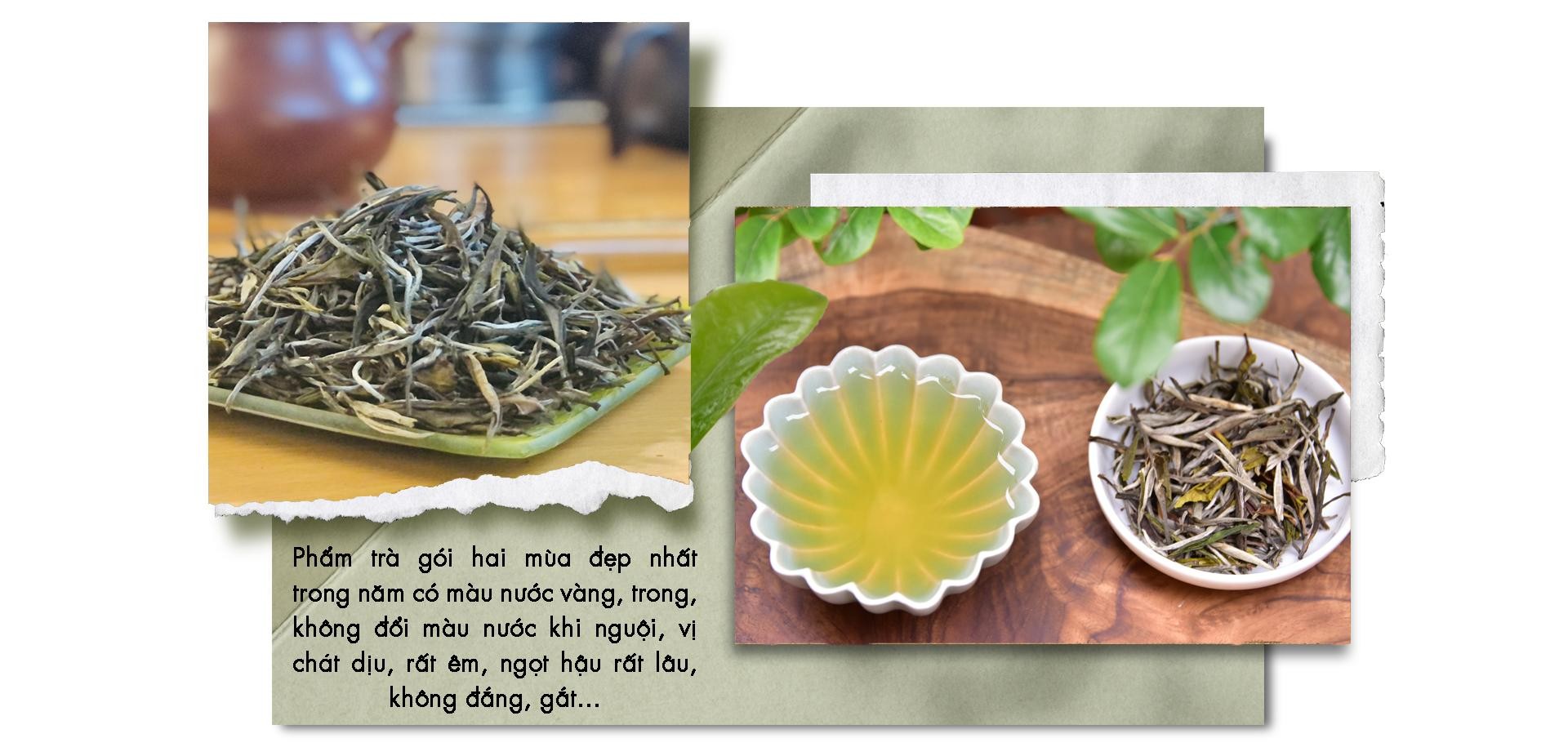 Xuân - Thu trong một tách trà ảnh 5