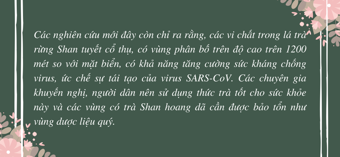 Xuân - Thu trong một tách trà ảnh 12