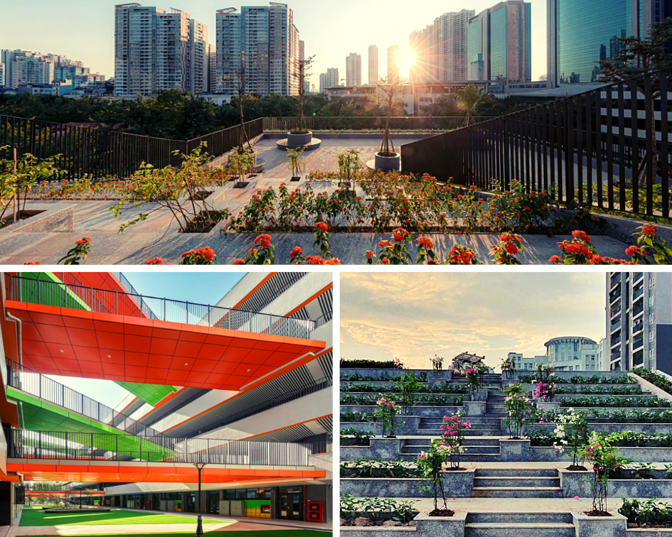 Chuyện về một ngôi trường sinh ra trong mùa dịch mà đẹp đến lạ thường! ảnh 6