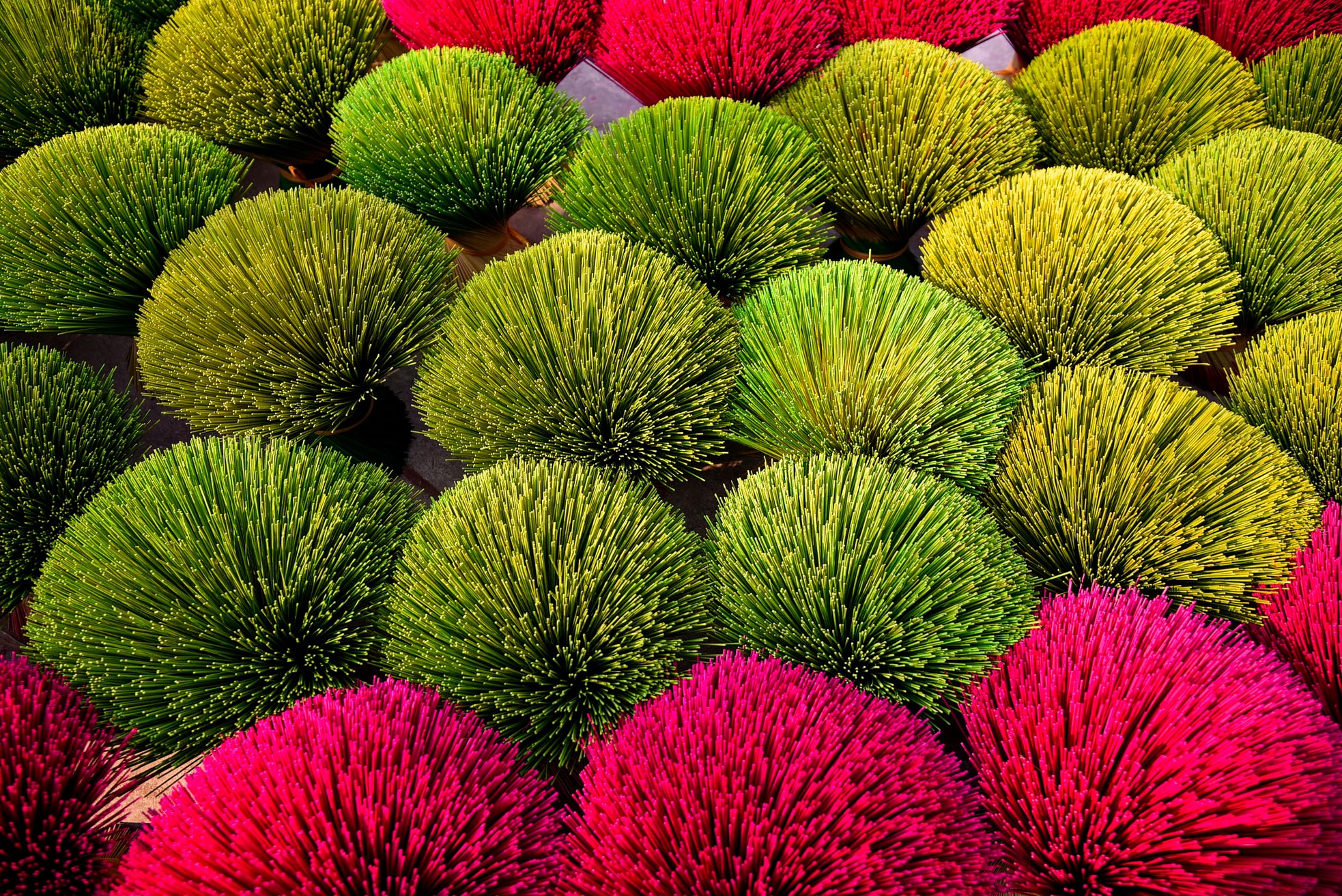 Lạc vào xứ sở rộn sắc màu ở làng hương Quảng Phú Cầu ảnh 11