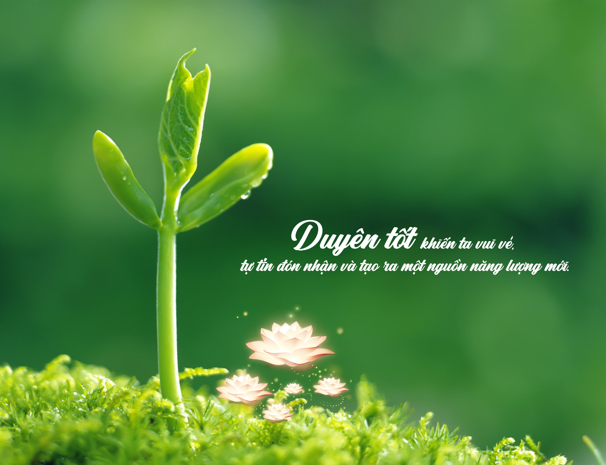 Cách thức hóa giải những duyên xấu ác trong cuộc đời ảnh 1