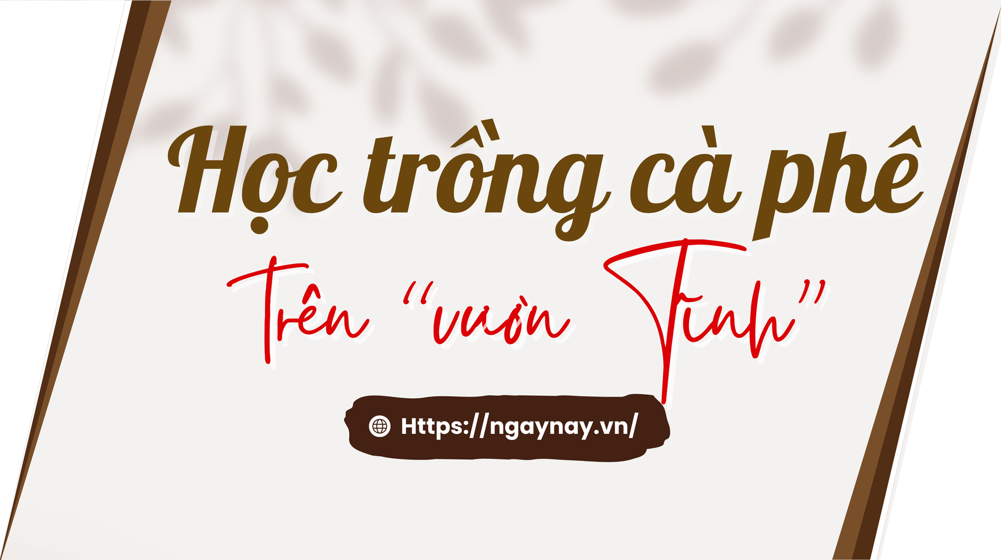 Cà phê rang củi giữa lòng Hà Nội ảnh 4