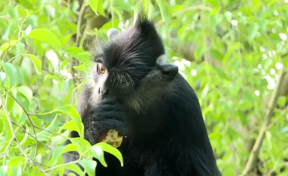 Di sản thiên nhiên - Nguồn cảm hứng bất tận cho những sáng kiến bảo vệ môi trường ảnh 6