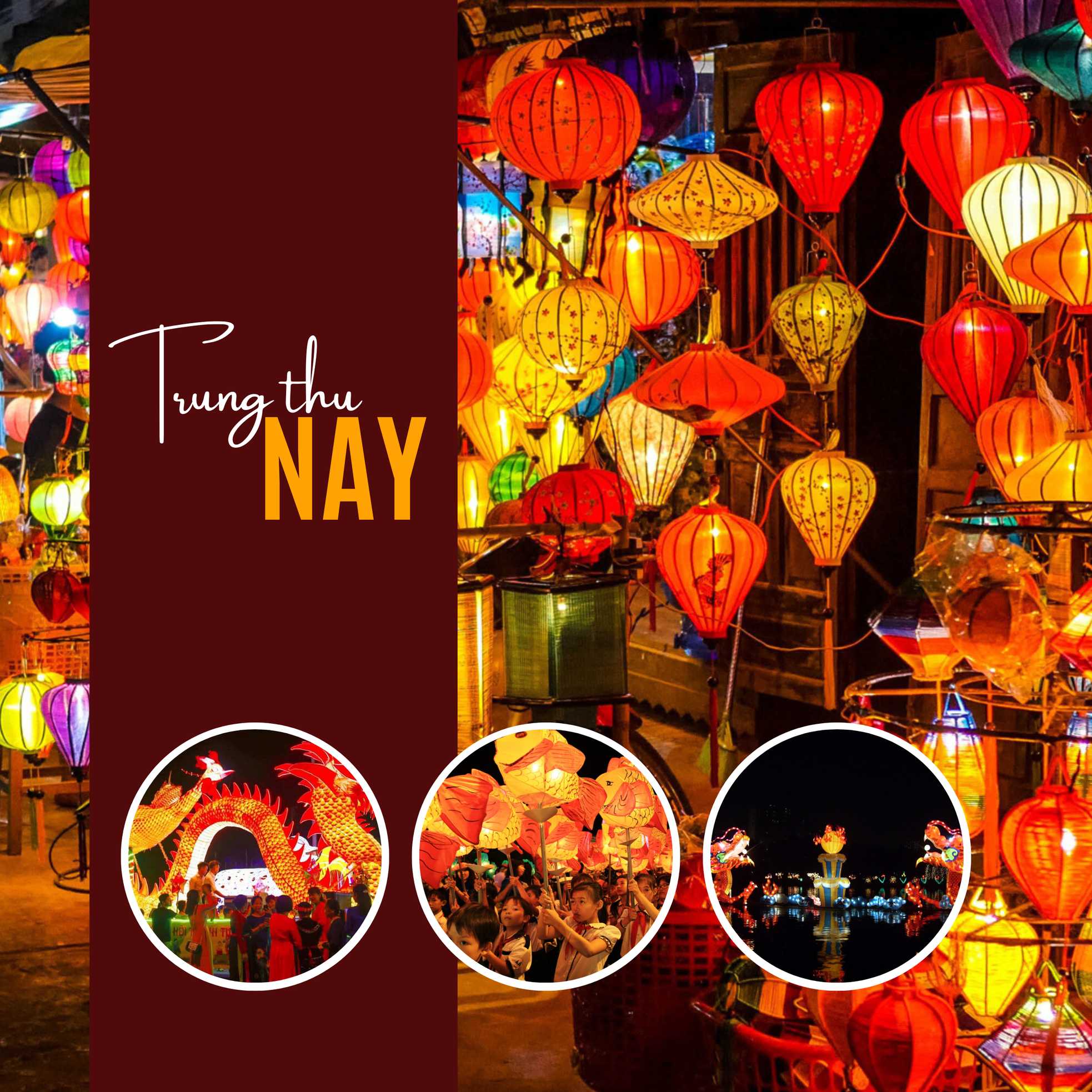 Đi qua những đêm trăng ảnh 4