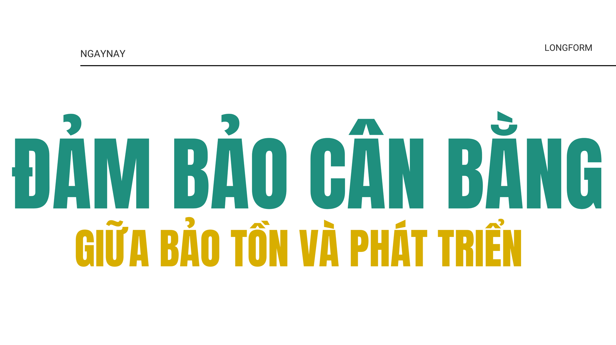 UNESCO: Tiềm năng các ngành công nghiệp văn hóa của Vịnh Hạ Long rất rộng lớn ảnh 1