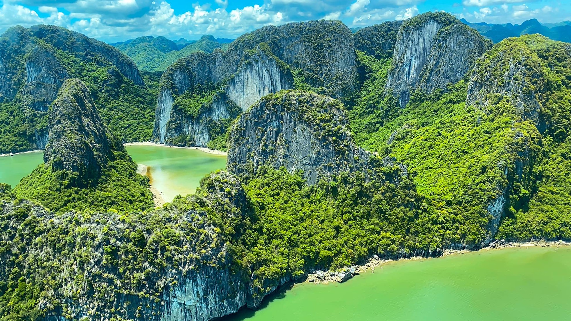 Vịnh Hạ Long: Sức sống bền vững của di sản thế giới 30 năm tuổi - Bài 1: Hành trình UNESCO vinh danh ảnh 3