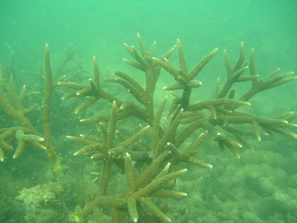 Vịnh Hạ Long: Sức sống bền vững của di sản thế giới 30 năm tuổi - Bài 2:Phát huy giá trị cốt lõi của di sản Vịnh Hạ Long ảnh 6