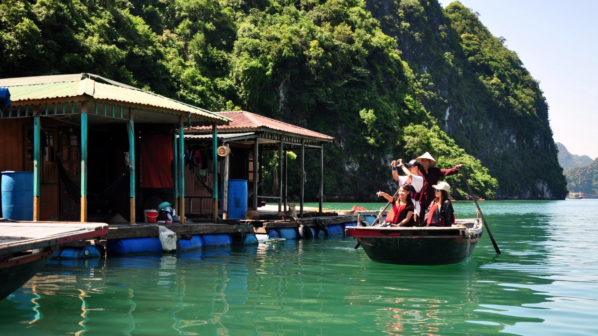 Vịnh Hạ Long: Sức sống bền vững của di sản thế giới 30 năm tuổi - Bài 3: Hệ sinh thái độc nhất vô nhị được gìn giữ ảnh 2