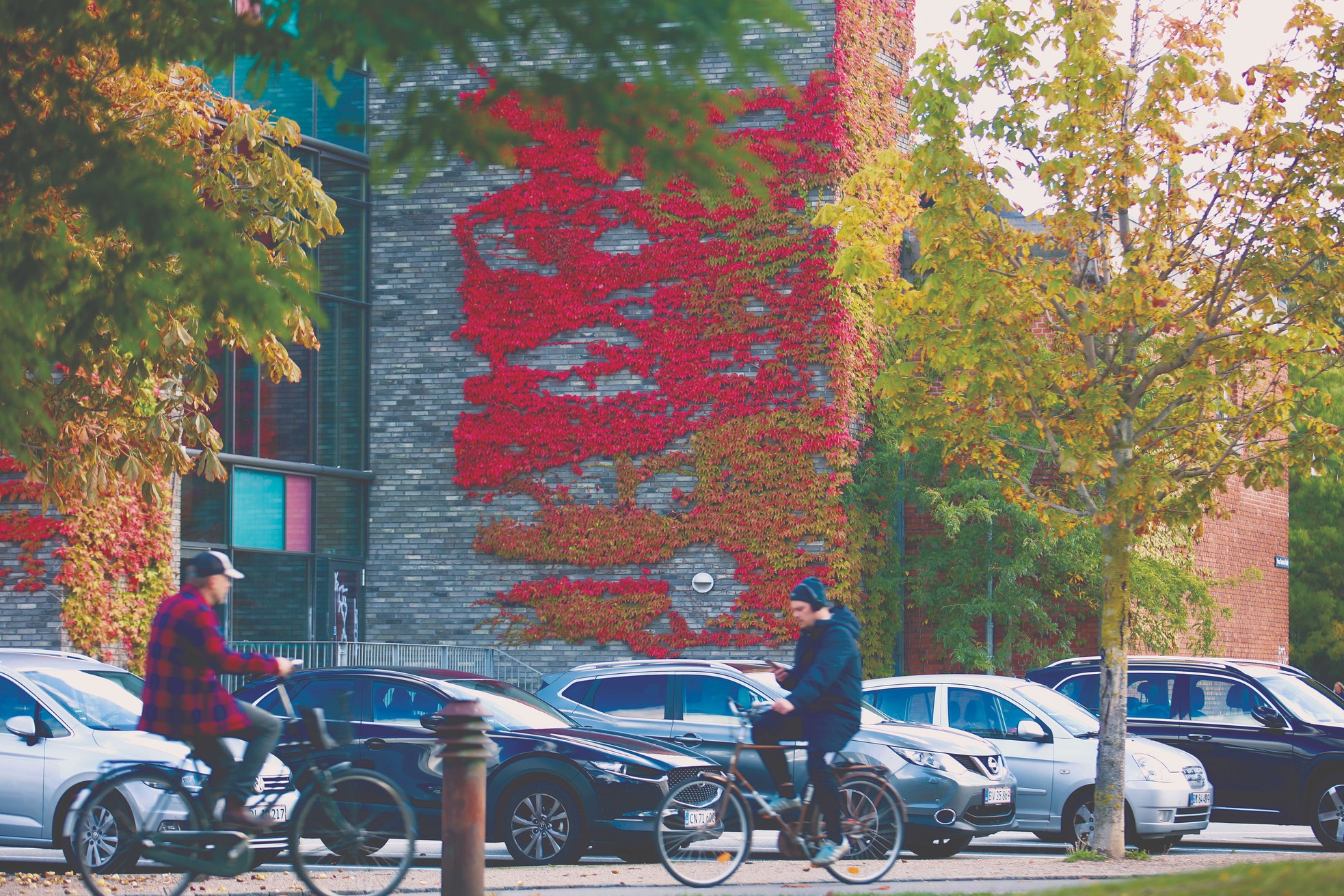 Đan Mạch - Đất nước của những câu chuyện cổ tích ảnh 2