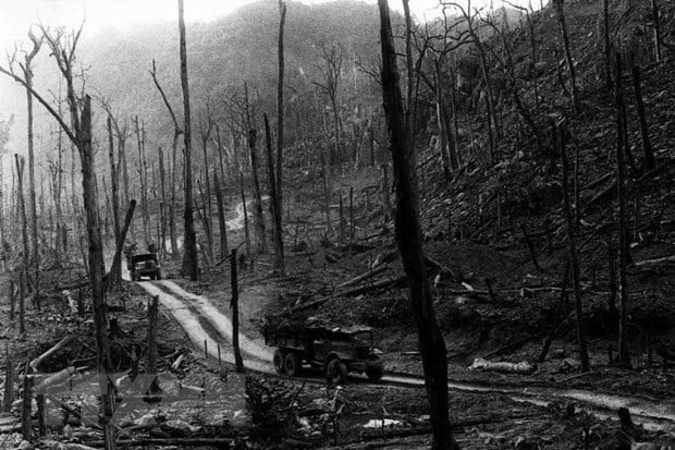 Những bông hồng sau tay lái ảnh 3