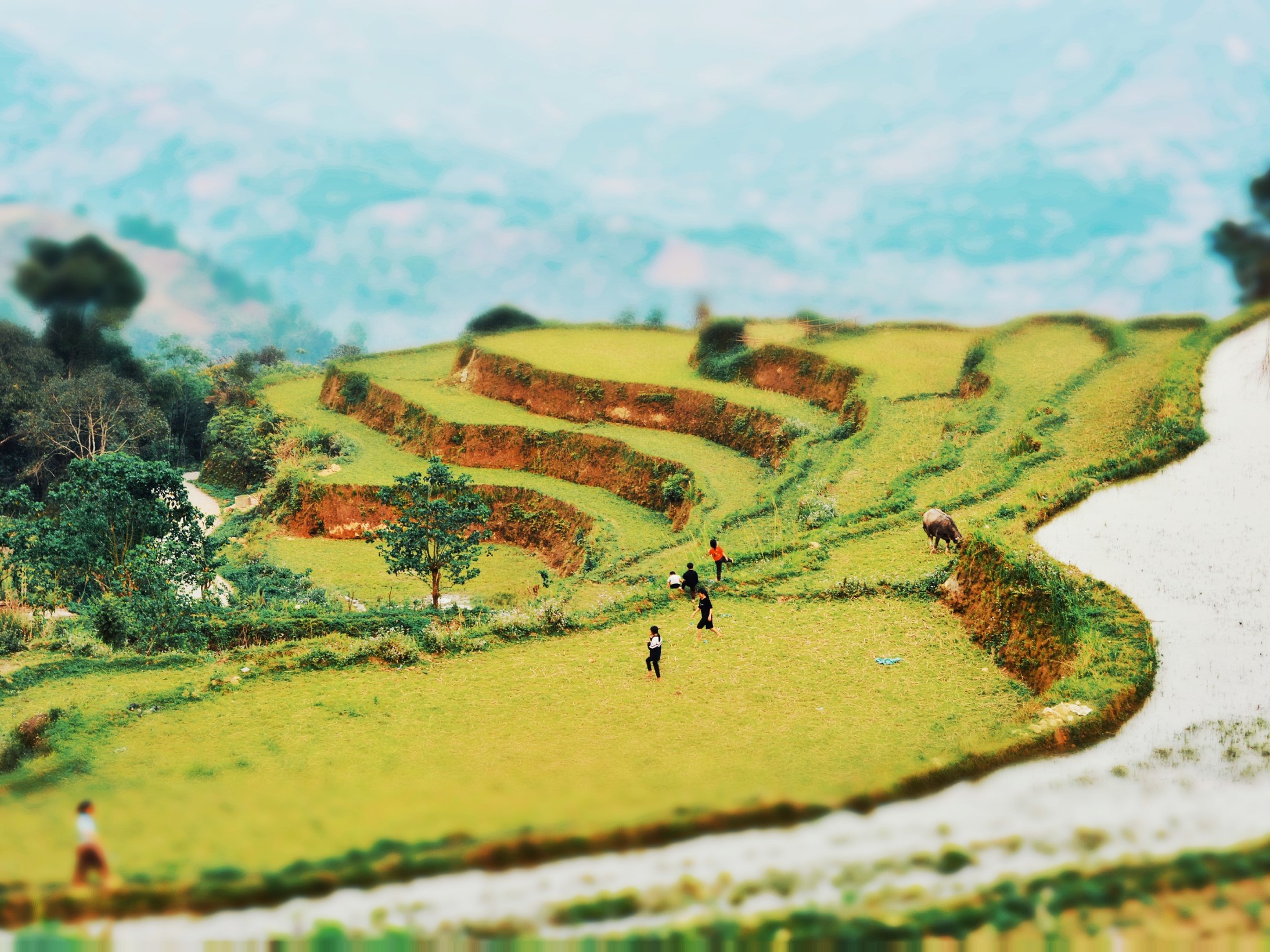 Công nghiệp văn hóa có thể trở thành động lực của sáng tạo ảnh 9