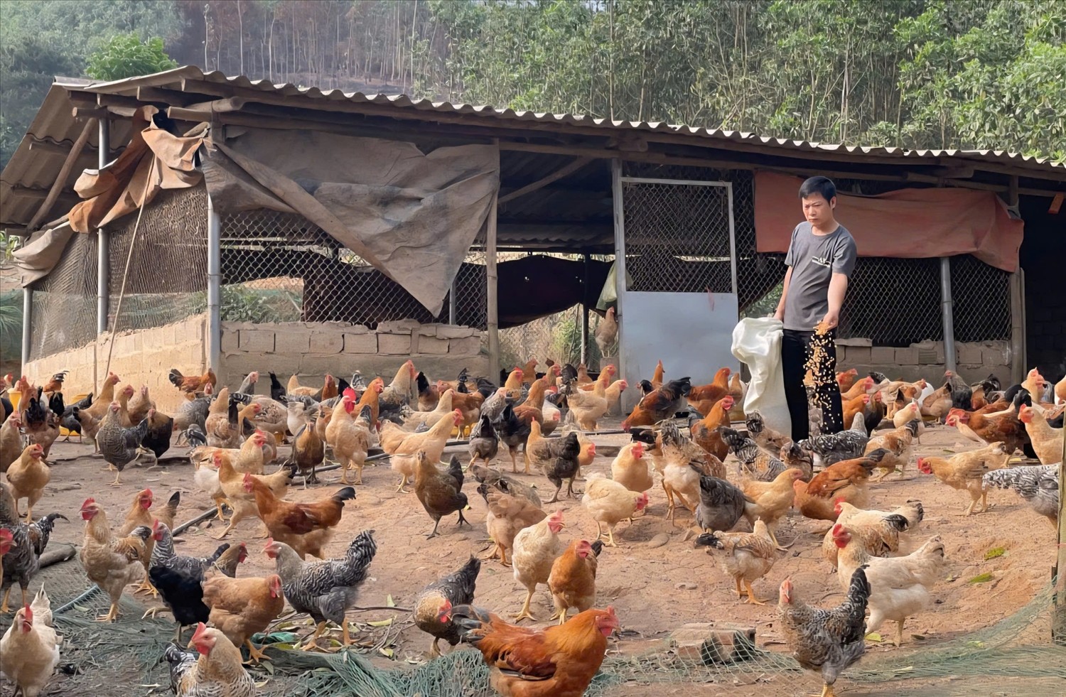 Dấu ấn của những cán bộ “thật thà nhúng tay vào việc” - Bài 3: Cùng dân nghèo đưa OCOP vươn xa ảnh 2