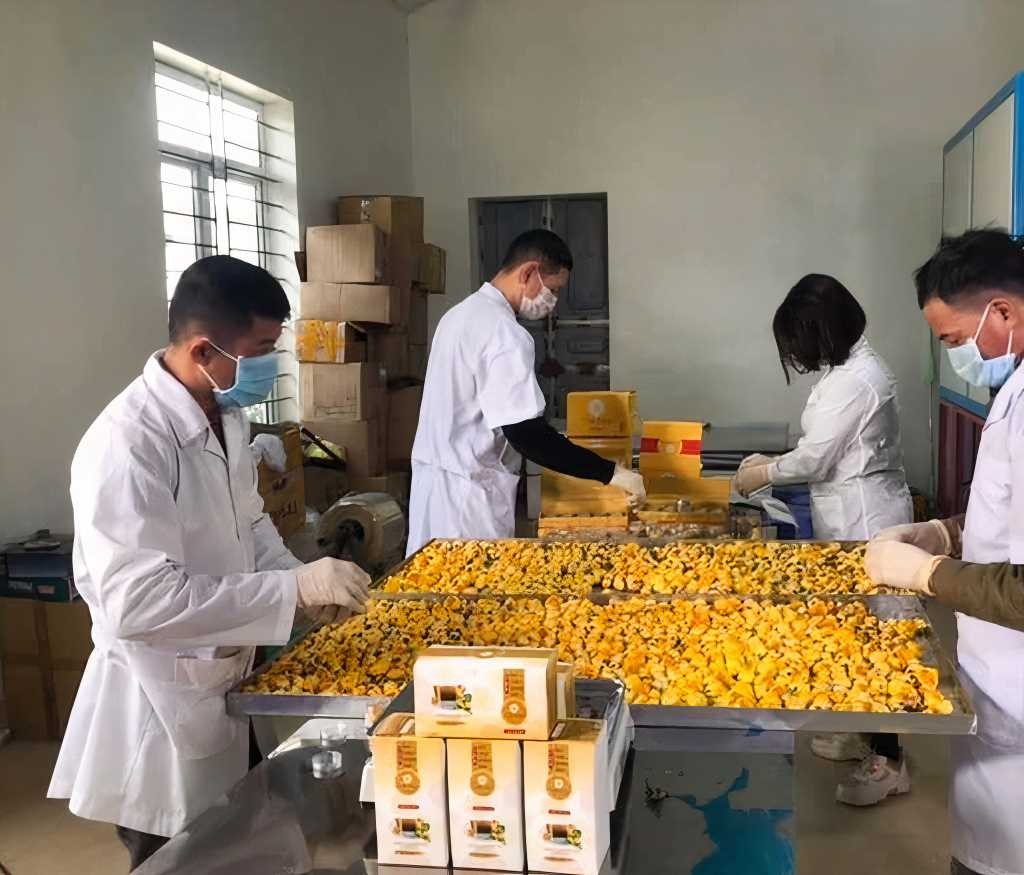 Dấu ấn của những cán bộ “thật thà nhúng tay vào việc” - Bài 3: Cùng dân nghèo đưa OCOP vươn xa ảnh 5