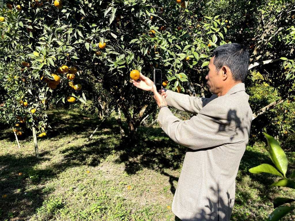 Dấu ấn của những cán bộ “thật thà nhúng tay vào việc” - Bài 4: Nắng ấm về trên những rẻo cao ảnh 7