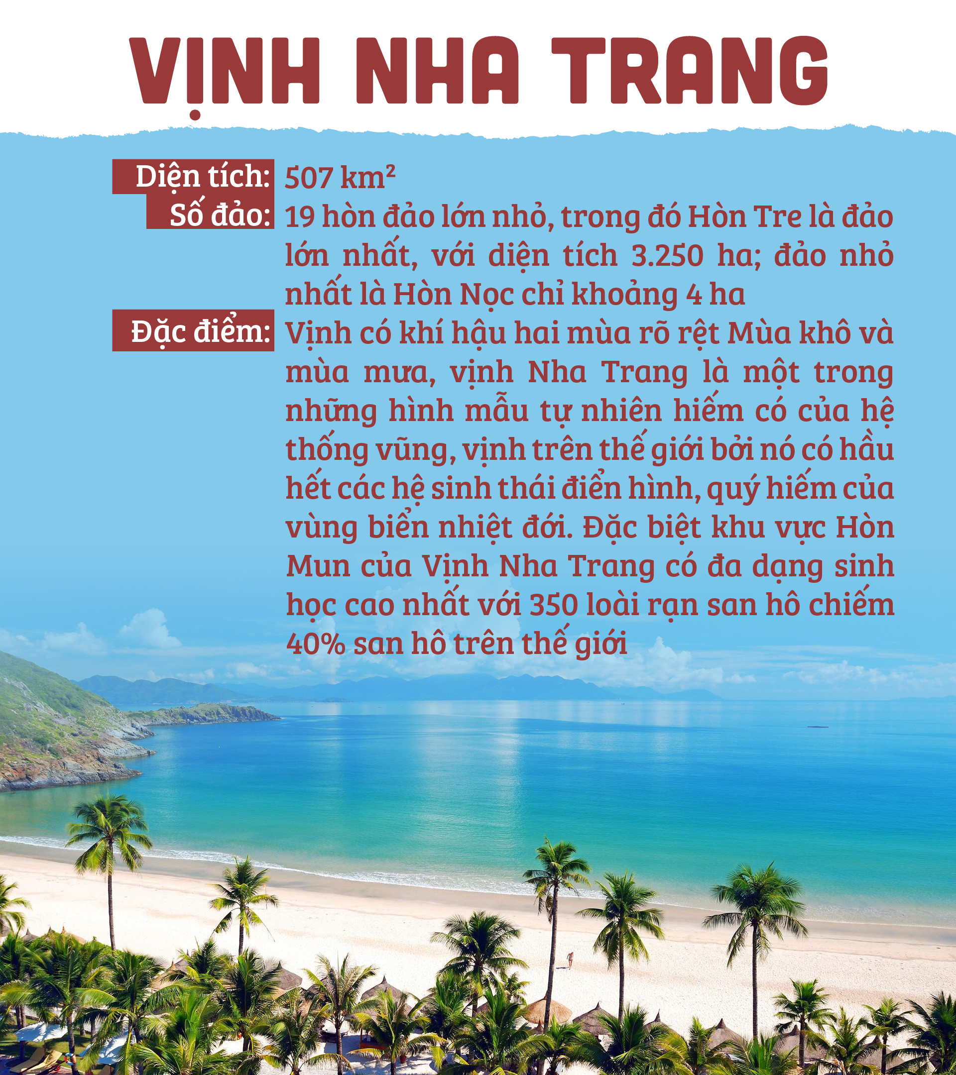 Bức tử sinh thái Vịnh Nha Trang ảnh 12