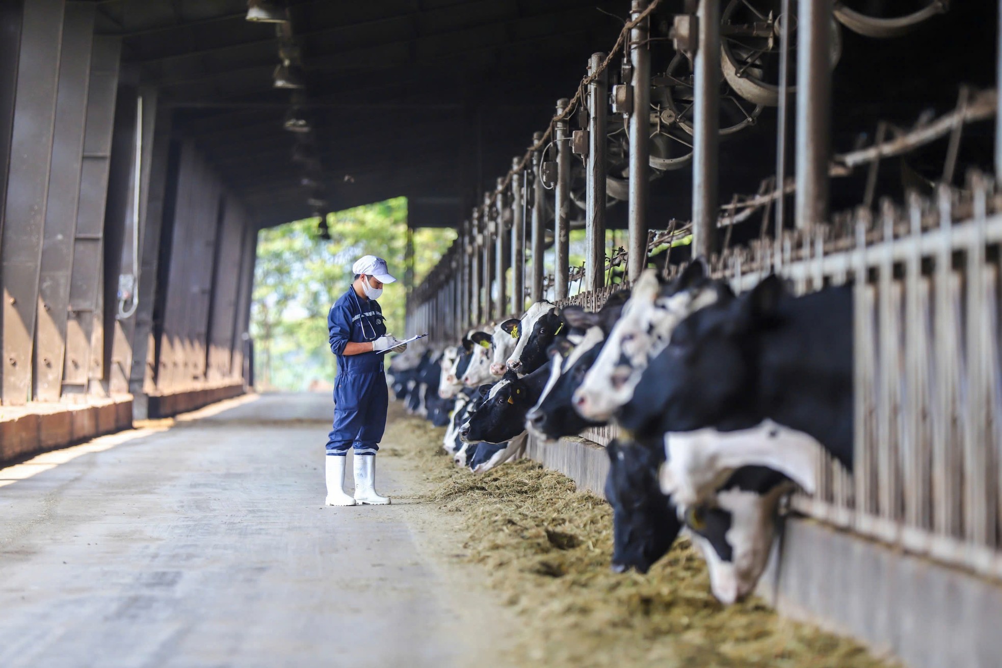 Cách mạng 4.0 - Cuộc cách mạng của dữ liệu ảnh 1