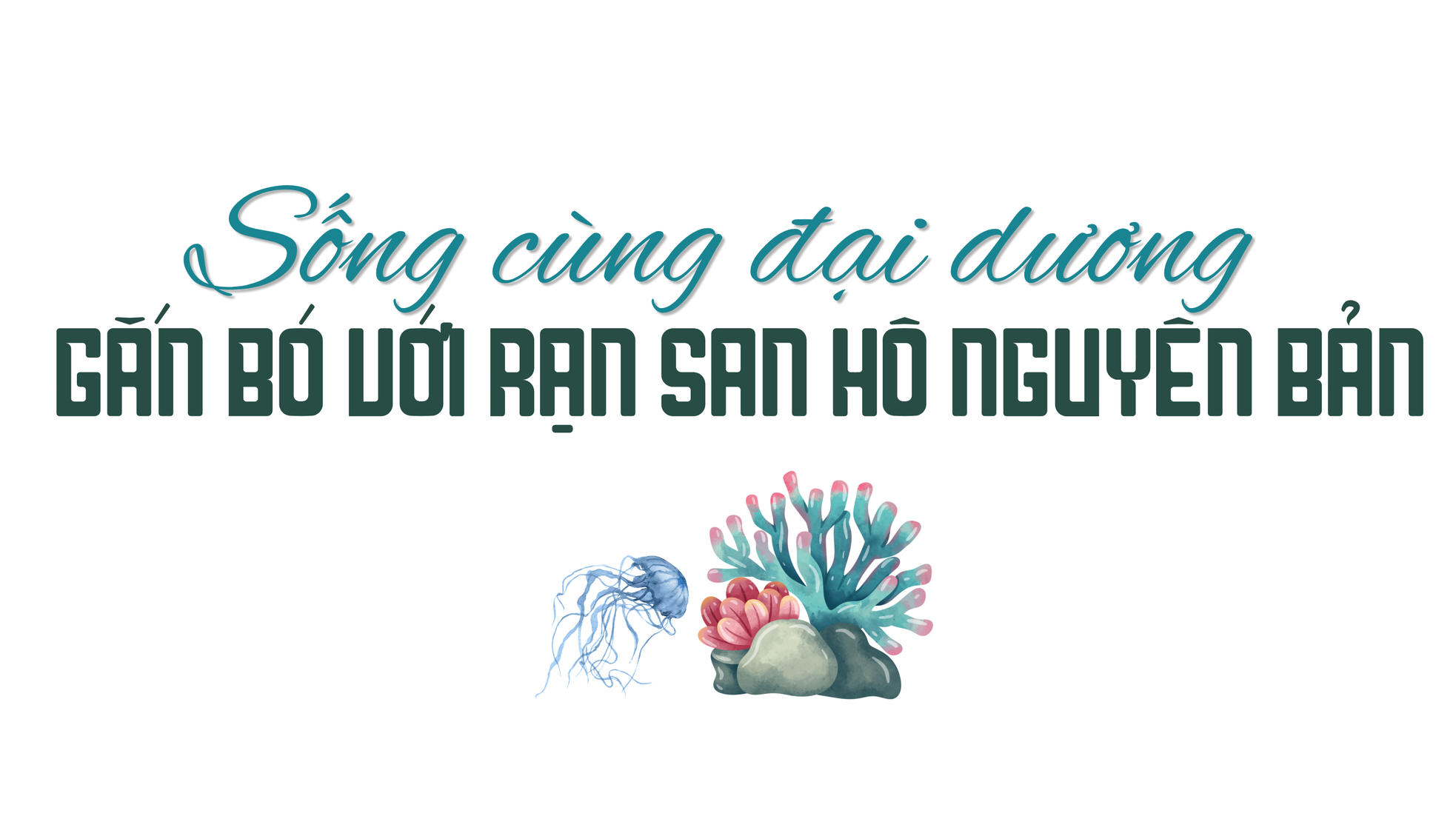 Cùng Villa Le Corail, A Gran Meliá Hotel bảo tồn hệ sinh thái ngay dưới thềm dinh thự ảnh 1