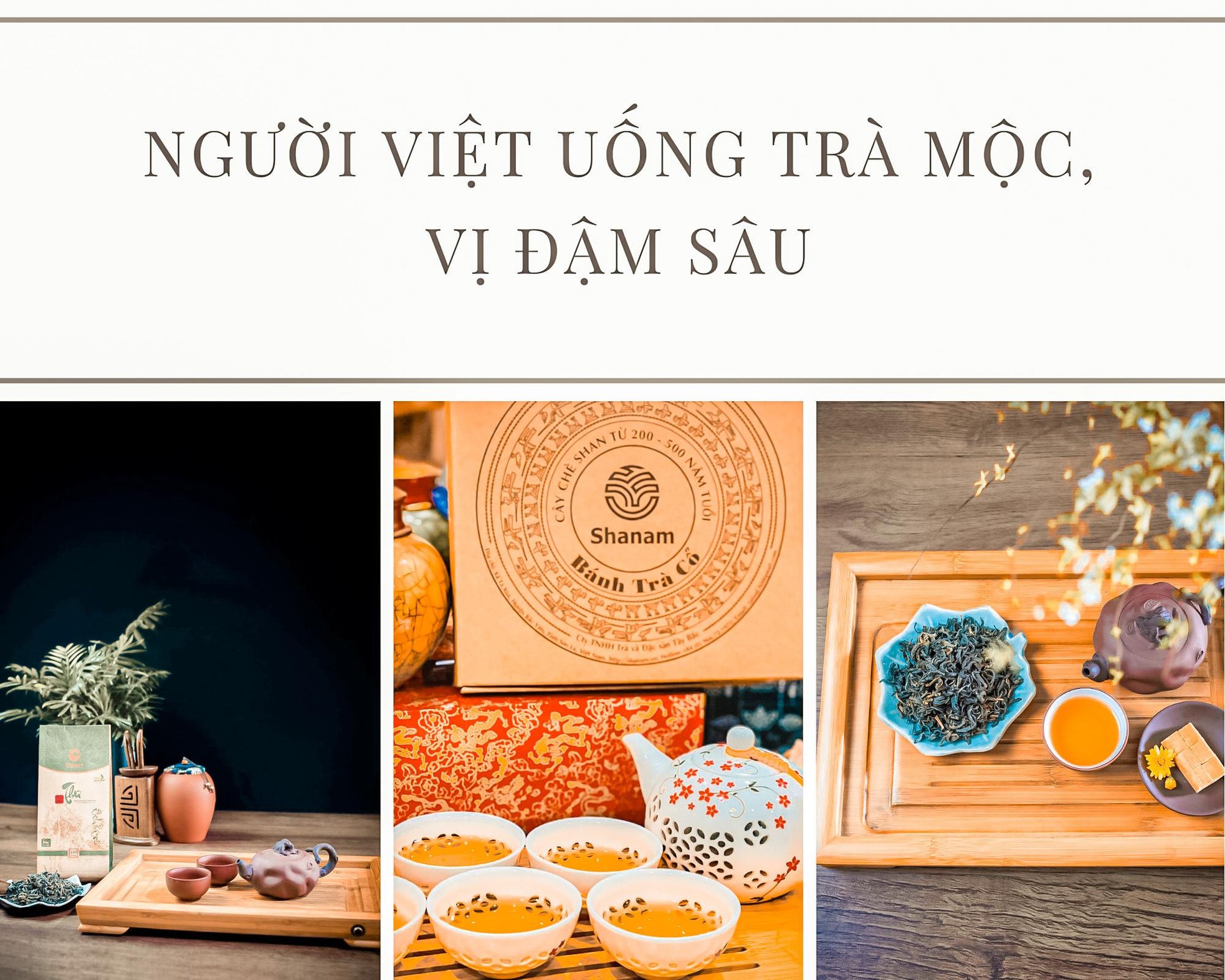 Cốt cách trà ảnh 2