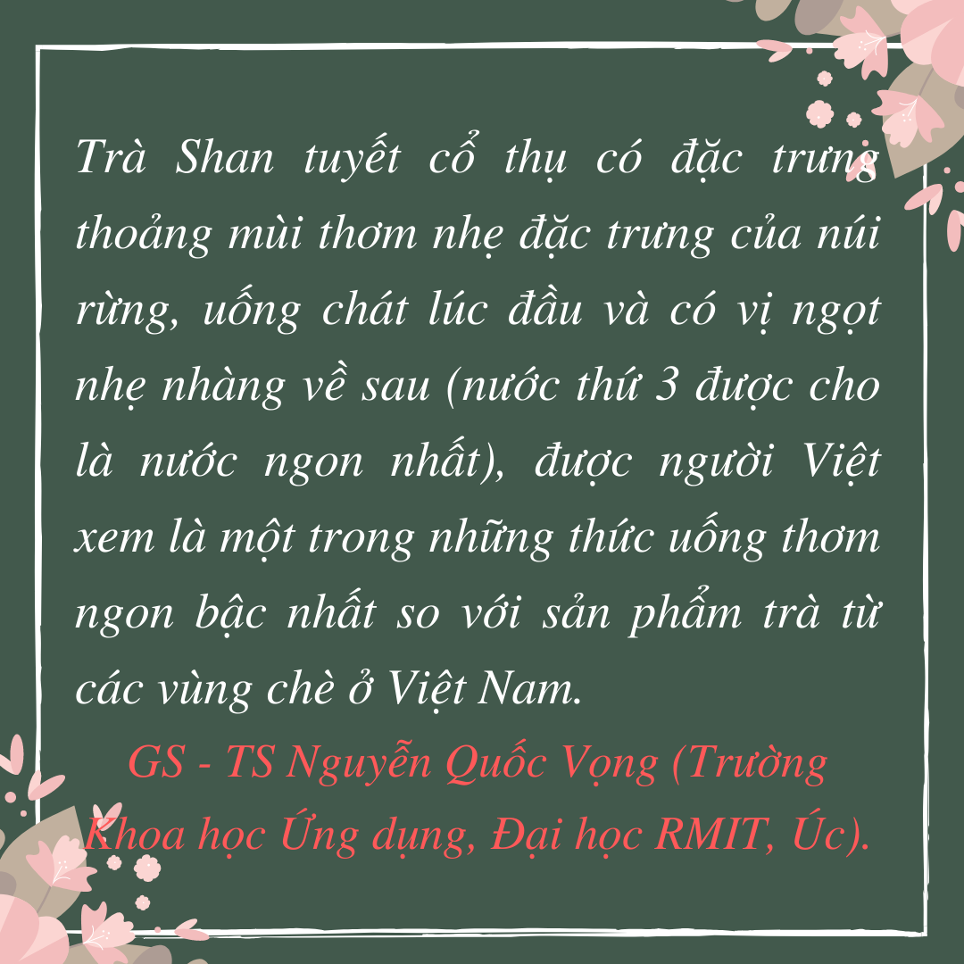 Xuân - Thu trong một tách trà ảnh 2