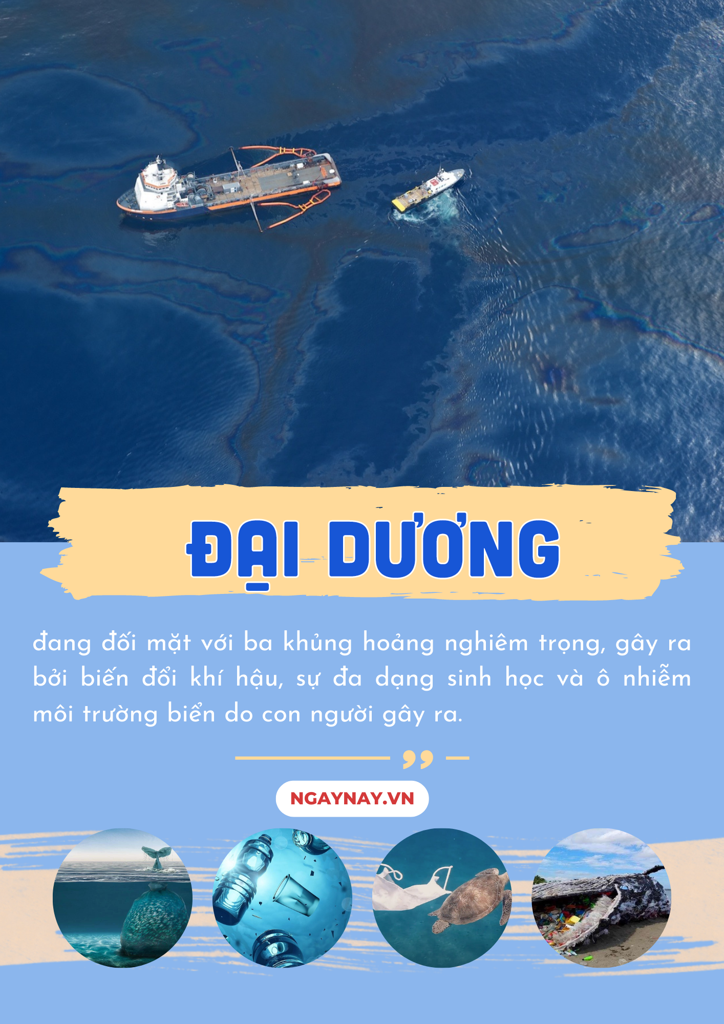 ‘Sức khỏe’ đại dương đang gặp nguy hiểm - Bài 3: Đại dương chỉ có thể hồi sinh từ sự đoàn kết ảnh 2