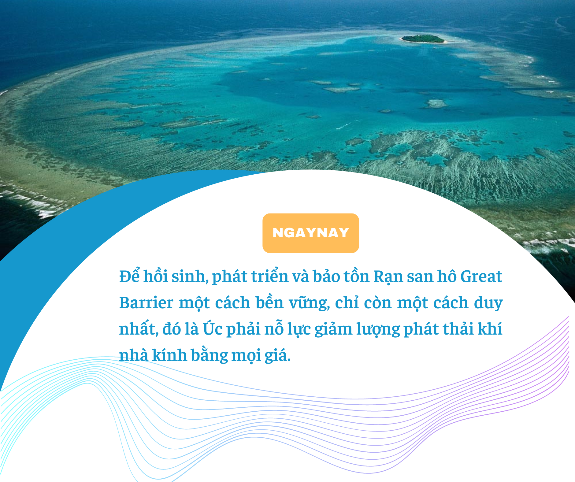 ‘Sức khỏe’ đại dương đang gặp nguy hiểm - Bài 1: Tiền không cứu nổi đại dương?! ảnh 7