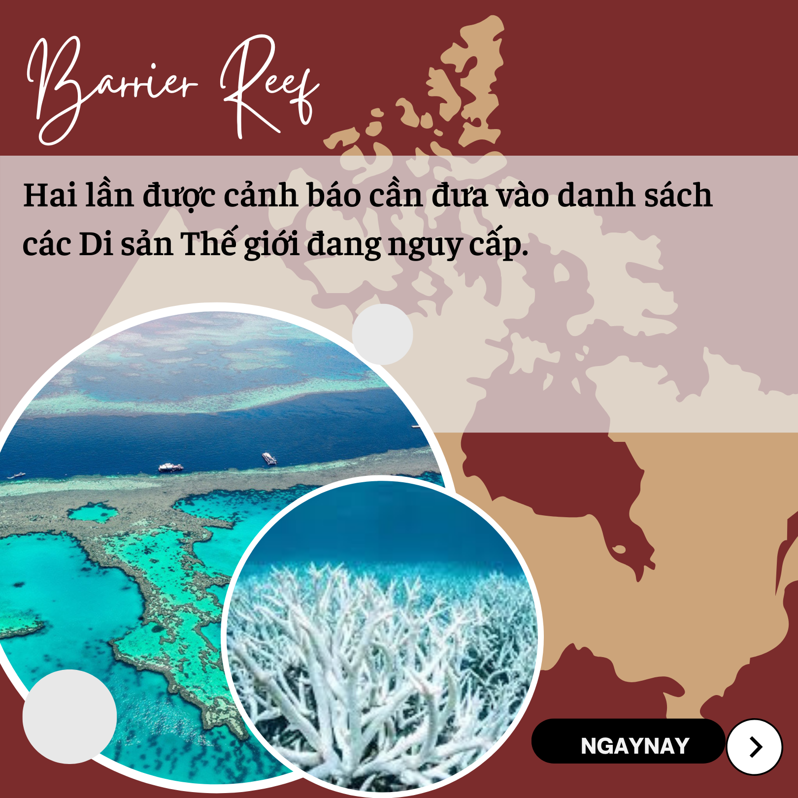 ‘Sức khỏe’ đại dương đang gặp nguy hiểm - Bài 1: Tiền không cứu nổi đại dương?! ảnh 2